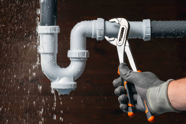 Professional Plumbing technician working in Lignum, VA